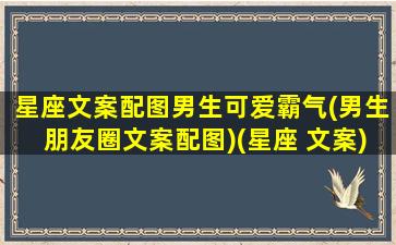 星座文案配图男生可爱霸气(男生朋友圈文案配图)(星座 文案)